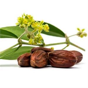 Natural jojoba oil for hair growth