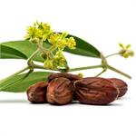 Natural jojoba oil for hair growth