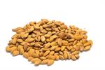 Wholesale Organic Almonds Bulk
